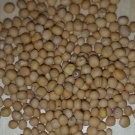 Super Seeds Sinapis Alba Mustard 300 Pcs Bio Ecological