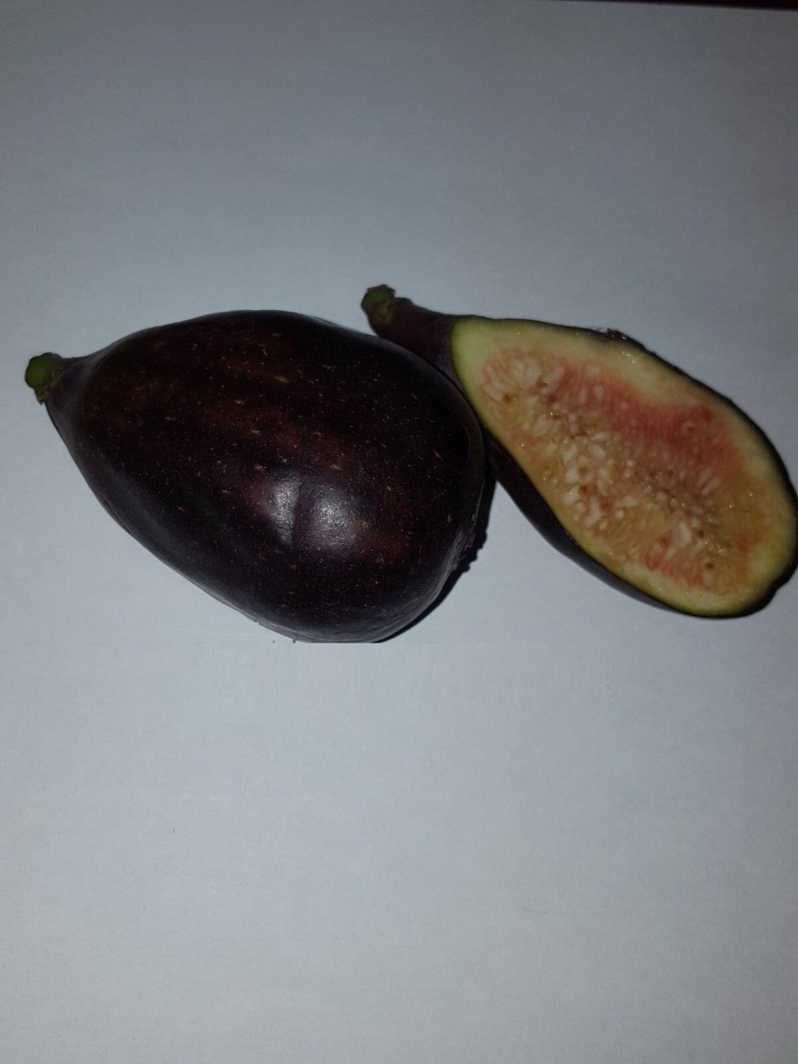 Super Seeds Ficus Carica Fig Tree Edible Fruit 500 Pcs