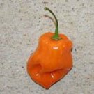 Super Seeds Very Hot Orange Habanero Pepper 40 Pcs