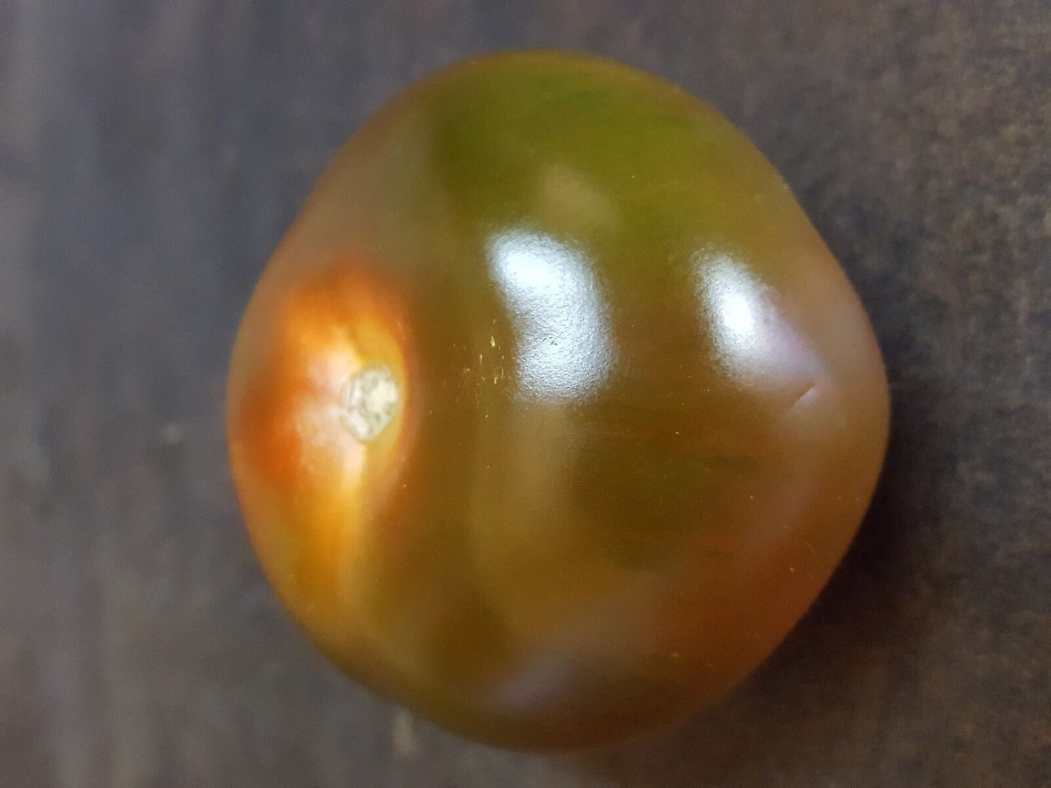 Super Seeds Black Tomato Giant Edible Fruits Black Tomato 100 Pcs