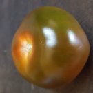 Super Seeds Black Tomato Giant Edible Fruits Black Tomato 100 Pcs