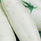 Super Seeds White Italian Cucumber 120 Pcs
