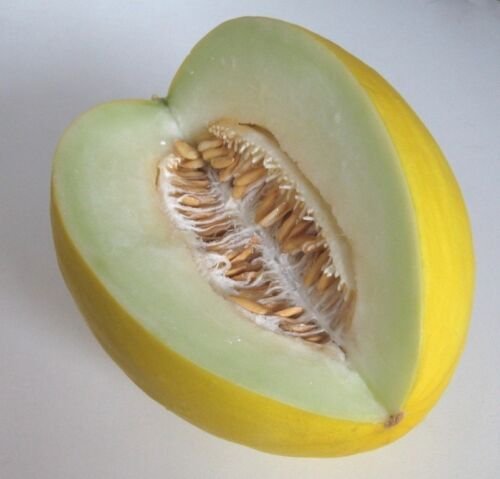 Super Seeds Goldmelon Canary Yellow Melon 250 Pcs