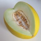 Super Seeds Goldmelon Canary Yellow Melon 250 Pcs