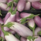 Super Seeds Aubergine Redonda Blanca Rosa Berenjena Bianca Di Rosa 300 Pcs