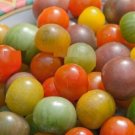 Super Seeds Cherry Red Black Yellow White Cherry Mix Tomato 100 Pcs