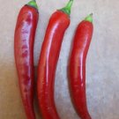 Super Seeds Hot Pepper Red Chili Pepper Pepper 200 Pcs