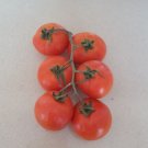 Super Seeds Tomate De Colgar Hang Tomato 200 Pcs