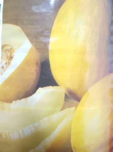 Super Seeds Golden Canary Yellow Melon 100 Pcs Fresh And Delicious
