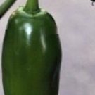 Super Seeds Jalapeño Jalapeno Very Spicy 80 Pcs