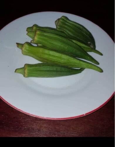 Super Seeds Abelmoschus Sculentus Okra Quiabo Combo 100 Pcs