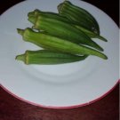 Super Seeds Abelmoschus Sculentus Okra Quiabo Combo 100 Pcs