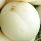 Super Seeds Type Ribatejo White Melon 60 Pcs