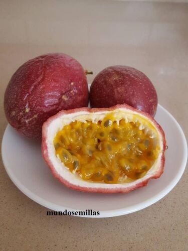 Super Seeds Purple Passion Fruit Passiflora Edulis 45 Pcs Passion Fruit