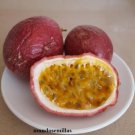 Super Seeds Purple Passion Fruit Passiflora Edulis 45 Pcs Passion Fruit