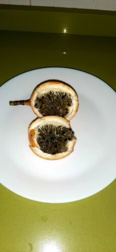 Super Seeds Passion Fruit Passiflora Ligularis Granadilla 25 Pcs