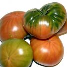 Super Seeds Raf Tomato Large Size Delicious 200 Pcs