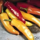 Super Seeds Pepper Hungarian Wax Pepper 50 Pcs