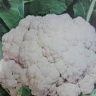 Super Seeds Snowball Cauliflower Early 300 Pcs Best Variety