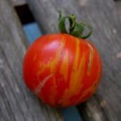 Super Seeds Tiger Tomato Tigerella Medium Good Flavor 50 Pcs