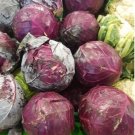 Super Seeds Purple Red Cabbage Black Head 1000 Pcs