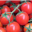 Super Seeds Red Cherry Tomato For Snacking Tomato 200 Pcs