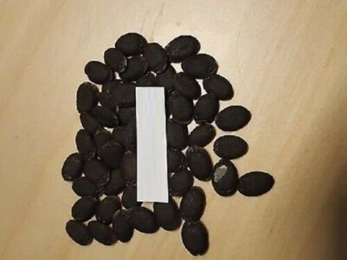 Super Seeds Lufa Sponge Plant Bath Pumpkin Cylindrical Luffa 30 Pcs