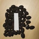 Super Seeds Lufa Sponge Plant Bath Pumpkin Cylindrical Luffa 30 Pcs
