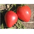 Super Seeds Heart Of Ox Tomato 250 Pcs