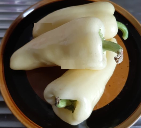 Super Seeds Sweet White Bell Pepper 50 Pcs