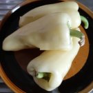 Super Seeds Sweet White Bell Pepper 50 Pcs