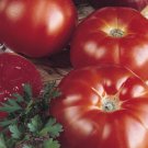 Super Seeds Tomato Raf Marmande 350 Pcs Fresh Seeds Garden