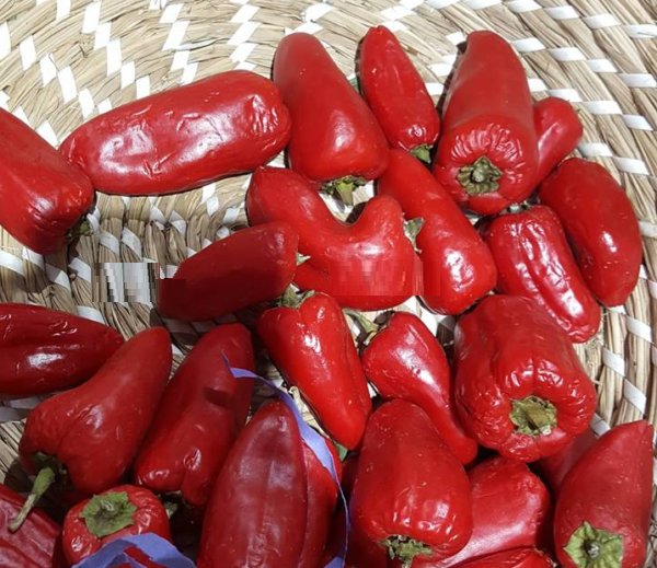 Super Seeds Piquillo Pepper 200 Pcs Fresh Seeds