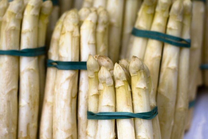 Super Seeds Thick Asparagus Argenteuil Thick White Asparagus 110 Pcs
