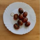 Super Seeds Black Cherry Pear Tomato 50 Pcs Good Flavor For Snacking