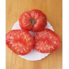 Super Seeds Tomato Seeds Brutus Fleshy Giant Tomato 60 Pcs