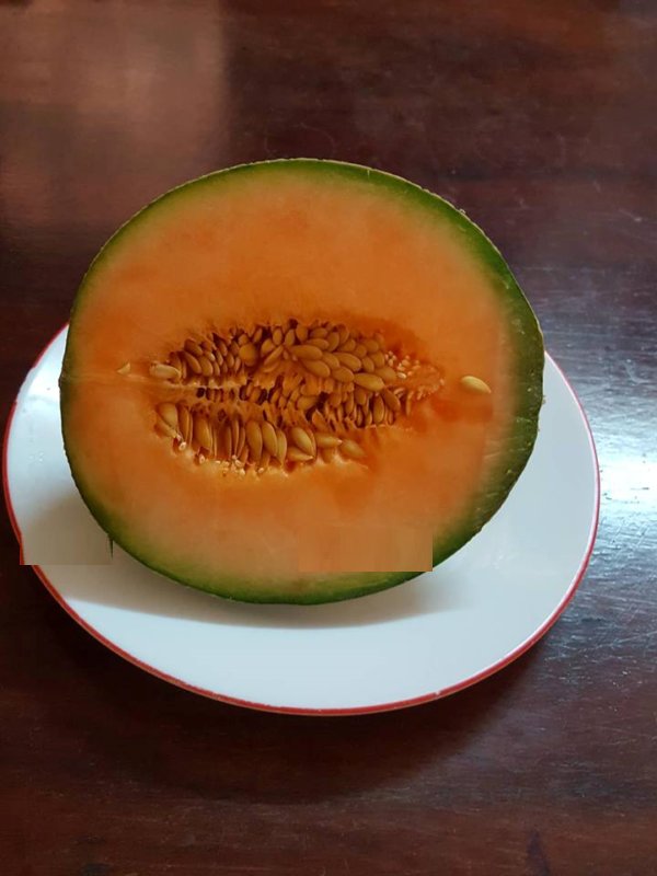 Super Seeds Cantaloupe Mel&Atilde;&sup3;n Melon Cantaloup Charentais 70 Pcs