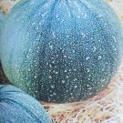 Super Seeds Delicious Round Zucchin 70 Pcs