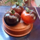 Super Seeds Indigo Rose Tomato 30 Pcs Var. Blue Tomato