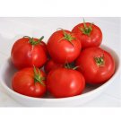 Super Seeds Tomato And Corners 360 Pcs