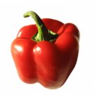 Super Seeds California Wonder Red Pepper 200 Pcs