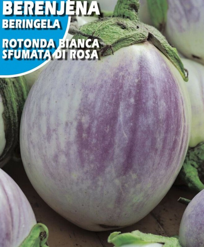 Super Seeds Eggplant Rotonda Bianca Di Rosa 600 Pcs Round Eggplant