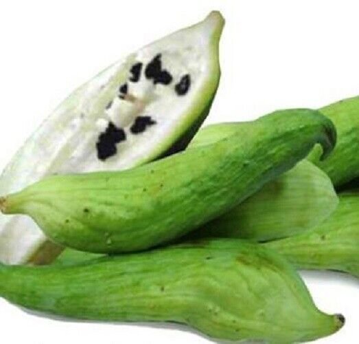Super Seeds Caigua Cyclanthera Pedata 10 Pcs
