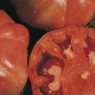 Super Seeds Montserrat Tomato 300 Pcs Orchard