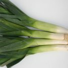 Super Seeds Winter Organic Leek Autumn 200 Pcs