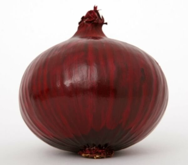 Super Seeds Niort Red Onion 200 Pcs Pale Purple In Color