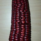 Super Seeds Edible Red Corn 20 Pcs Good Flavor