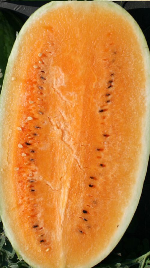 Super Seeds Orange Watermelon 10 Pcs Good Flavor