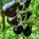 Super Seeds Garden Tomato Black Pear Tear Bulb Tomato 10 Pcs