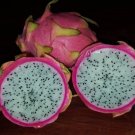 Super Seeds Pitaya Hylocereus Pitahaya 50 Pcs White Meat Excellent Taste